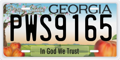 GA license plate PWS9165