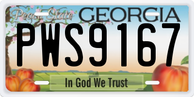 GA license plate PWS9167