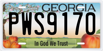 GA license plate PWS9170