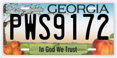 GA license plate PWS9172