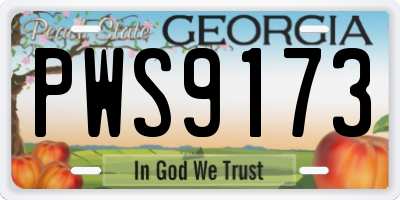 GA license plate PWS9173