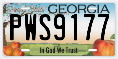 GA license plate PWS9177