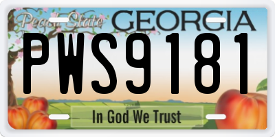 GA license plate PWS9181