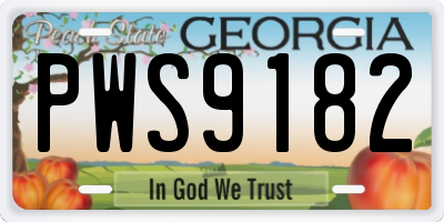 GA license plate PWS9182
