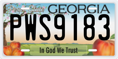 GA license plate PWS9183