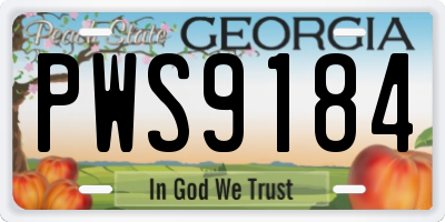 GA license plate PWS9184