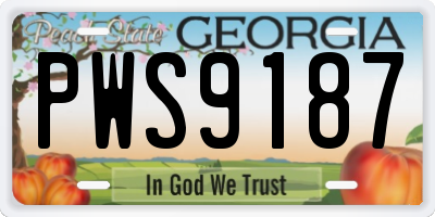 GA license plate PWS9187