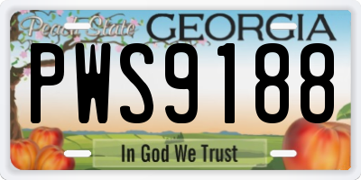 GA license plate PWS9188