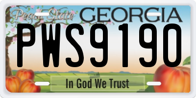 GA license plate PWS9190