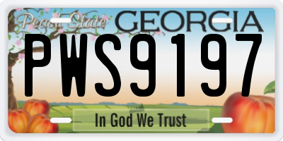 GA license plate PWS9197