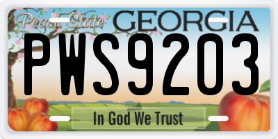 GA license plate PWS9203
