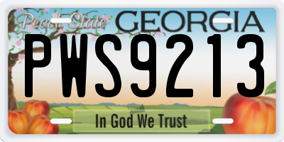 GA license plate PWS9213