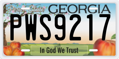 GA license plate PWS9217