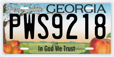GA license plate PWS9218