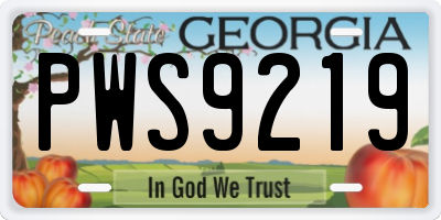 GA license plate PWS9219