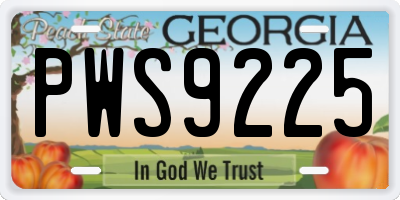 GA license plate PWS9225