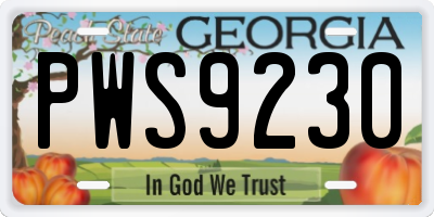 GA license plate PWS9230
