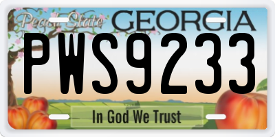 GA license plate PWS9233