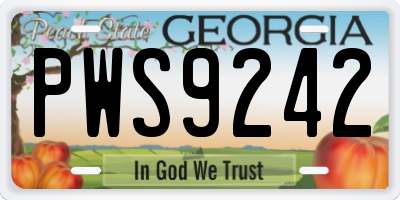 GA license plate PWS9242