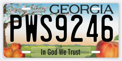GA license plate PWS9246