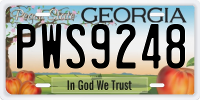 GA license plate PWS9248