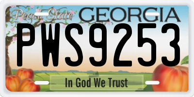 GA license plate PWS9253