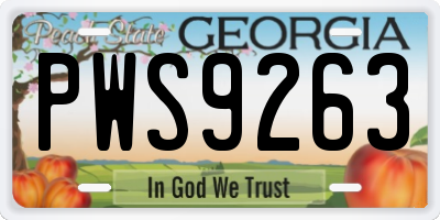 GA license plate PWS9263