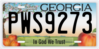 GA license plate PWS9273