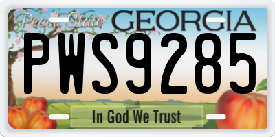 GA license plate PWS9285