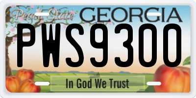GA license plate PWS9300