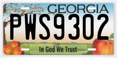GA license plate PWS9302