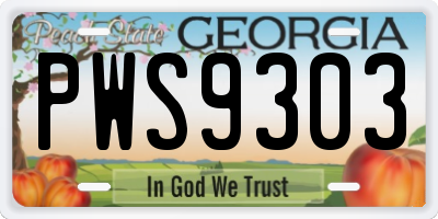 GA license plate PWS9303