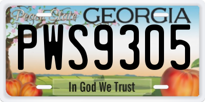 GA license plate PWS9305
