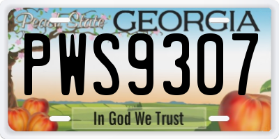 GA license plate PWS9307