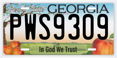 GA license plate PWS9309