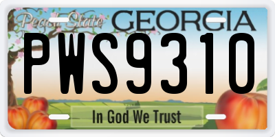 GA license plate PWS9310