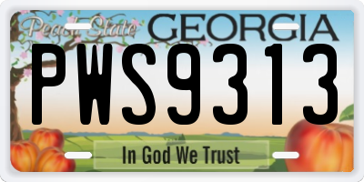 GA license plate PWS9313