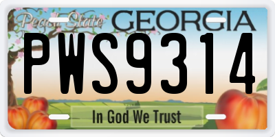 GA license plate PWS9314