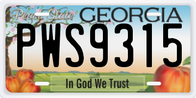 GA license plate PWS9315