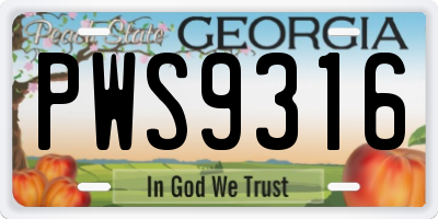 GA license plate PWS9316