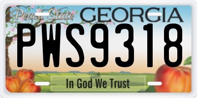 GA license plate PWS9318