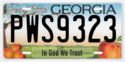 GA license plate PWS9323
