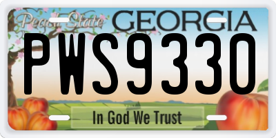 GA license plate PWS9330