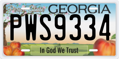 GA license plate PWS9334