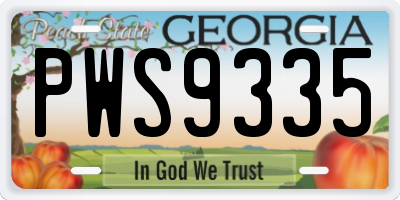 GA license plate PWS9335