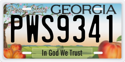 GA license plate PWS9341