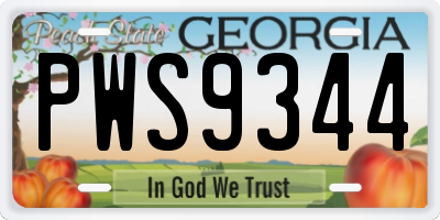 GA license plate PWS9344