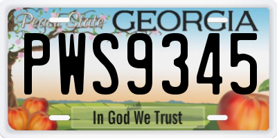 GA license plate PWS9345