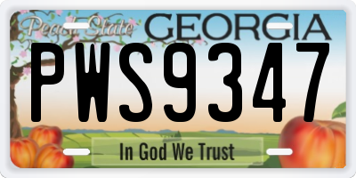 GA license plate PWS9347
