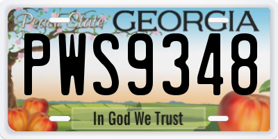 GA license plate PWS9348